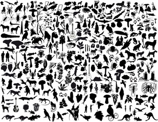 Similar image 652964