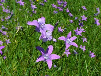 Similar image 653006