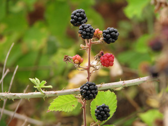 Similar image 653014