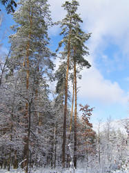 Similar image 653024