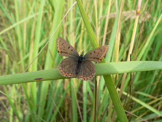 Similar image 653059