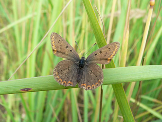 Similar image 653060