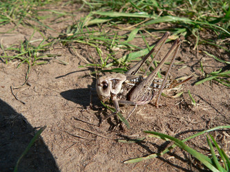 Similar image 653062