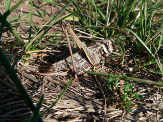 Similar image 653063