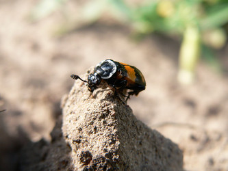 Similar image 653073