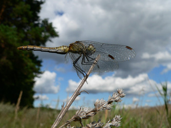 Similar image 653075