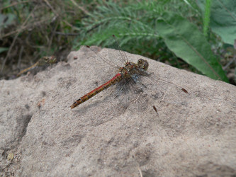 Similar image 653080