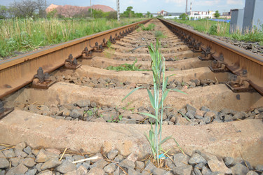 Similar image 653131