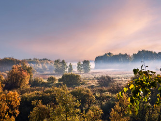 Similar image 653135