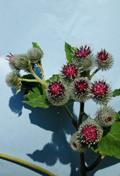 Similar image 653139