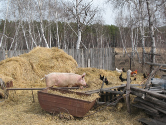 Similar image 653243