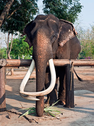 Similar image 653250