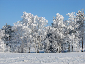 Similar image 653272