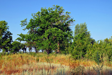 Similar image 653280