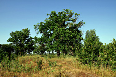 Similar image 653281