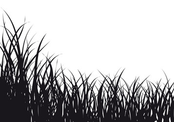 Similar image 653285