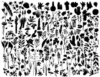 Similar image 653291