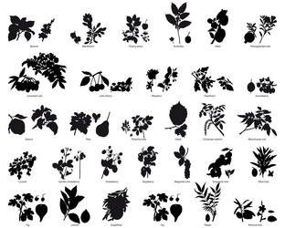 Similar image 653293