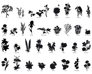 Similar image 653295