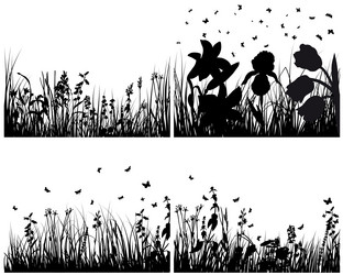 Similar image 653297