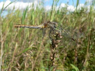 Similar image 653338