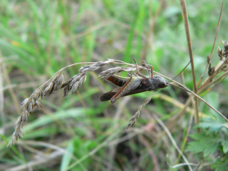 Similar image 653340