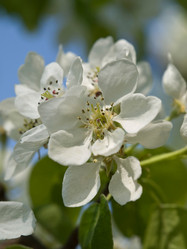 Similar image 653420