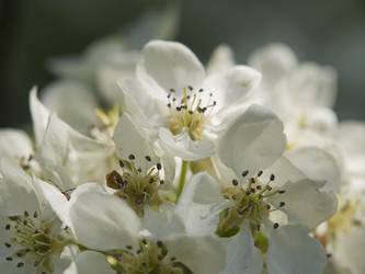 Similar image 653422