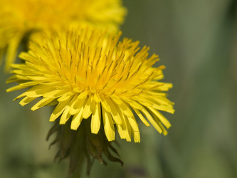 Similar image 653431