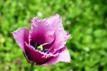 Similar image 653435