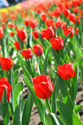 Similar image 653436