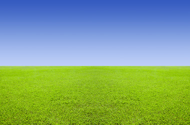 Similar image 653440