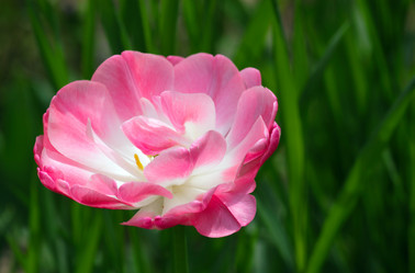 Similar image 653441