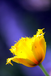 Similar image 653453