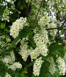 Similar image 653457