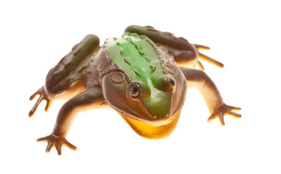 Similar image 653463