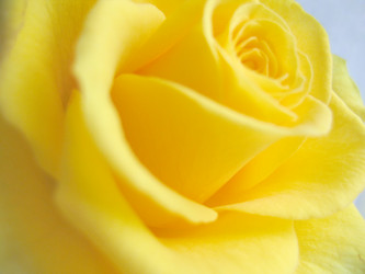 Similar image 653502