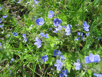 Similar image 653505