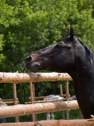 Similar image 653519