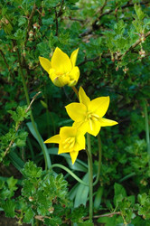 Similar image 653606