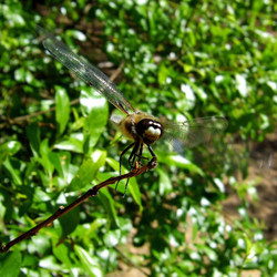 Similar image 653609