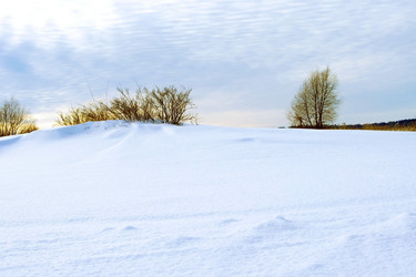 Similar image 653612