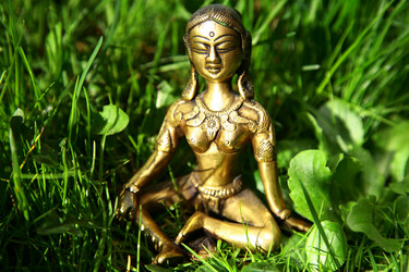 Similar image 653653