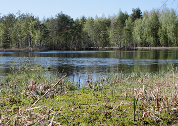 Similar image 653655