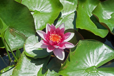 Similar image 653694