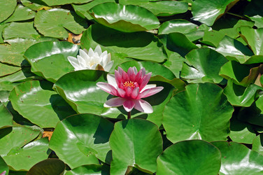 Similar image 653696