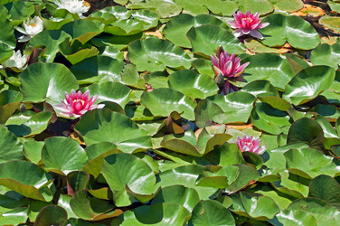 Similar image 653697