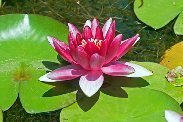 Similar image 653698