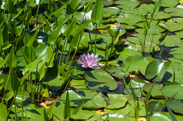 Similar image 653699