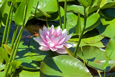 Similar image 653700